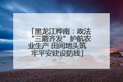 黑龙江桦南：政法“三箭齐发”护航农业生产 田间地头筑牢平安建设防线