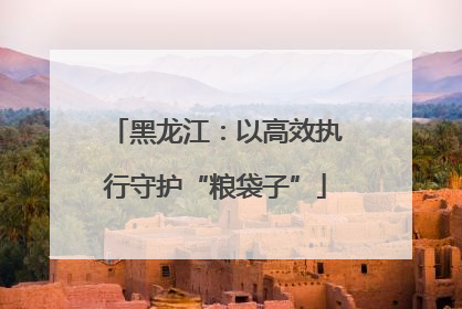 黑龙江：以高效执行守护“粮袋子”