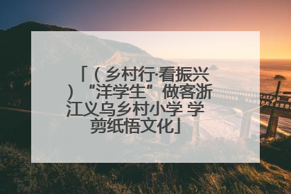 （乡村行·看振兴）“洋学生”做客浙江义乌乡村小学 学剪纸悟文化