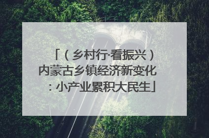 （乡村行·看振兴）内蒙古乡镇经济新变化：小产业累积大民生