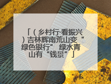 （乡村行·看振兴）吉林辉南荒山变“绿色银行” 绿水青山有“钱景”