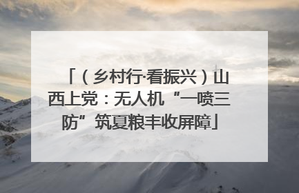 （乡村行·看振兴）山西上党：无人机“一喷三防”筑夏粮丰收屏障
