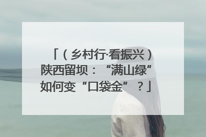 （乡村行·看振兴）陕西留坝：“满山绿”如何变“口袋金”？