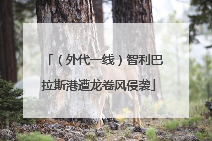 （外代一线）智利巴拉斯港遭龙卷风侵袭