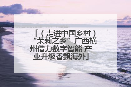（走进中国乡村）“茉莉之乡”广西横州借力数字智能 产业升级香飘海外