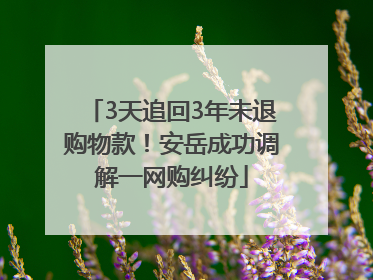3天追回3年未退购物款！安岳成功调解一网购纠纷
