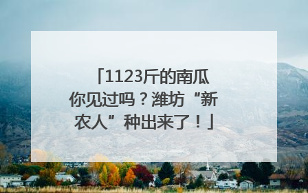 1123斤的南瓜你见过吗？潍坊“新农人”种出来了！