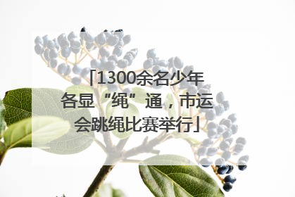 1300余名少年各显“绳”通，市运会跳绳比赛举行