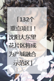 132个重点项目！沈阳大东望花片区将成为产城融合示范区
