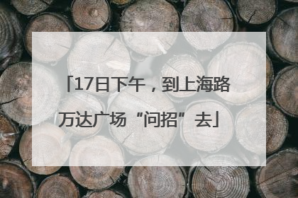 17日下午，到上海路万达广场“问招”去