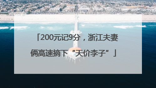 200元记9分，浙江夫妻俩高速摘下“天价李子”