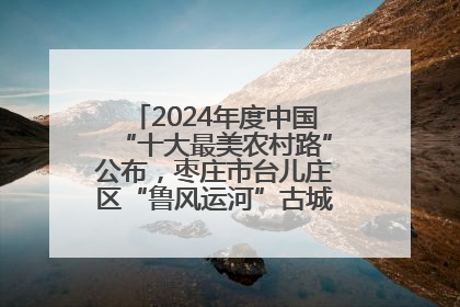 2024年度中国“十大最美农村路”公布，枣庄市台儿庄区“鲁风运河”古城文化廊道上榜！
