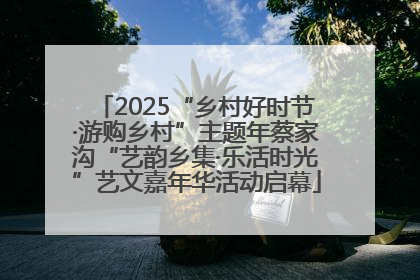 2025“乡村好时节·游购乡村”主题年蔡家沟“艺韵乡集·乐活时光”艺文嘉年华活动启幕