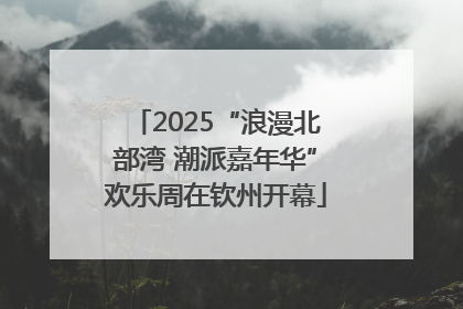 2025“浪漫北部湾 潮派嘉年华”欢乐周在钦州开幕