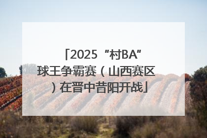 2025“村BA”球王争霸赛（山西赛区）在晋中昔阳开战