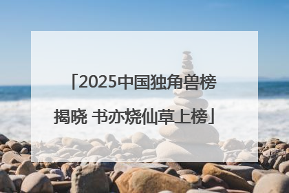 2025中国独角兽榜揭晓 书亦烧仙草上榜