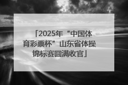2025年“中国体育彩票杯”山东省体操锦标赛圆满收官