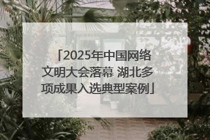 2025年中国网络文明大会落幕 湖北多项成果入选典型案例