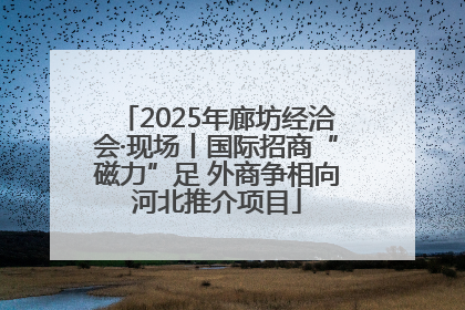 2025年廊坊经洽会·现场丨国际招商“磁力”足 外商争相向河北推介项目
