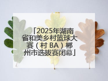 2025年湖南省和美乡村篮球大赛（村 BA）郴州市选拔赛闭幕