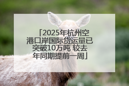 2025年杭州空港口岸国际货运量已突破10万吨 较去年同期提前一周