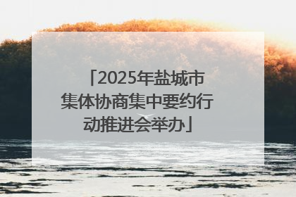 2025年盐城市集体协商集中要约行动推进会举办