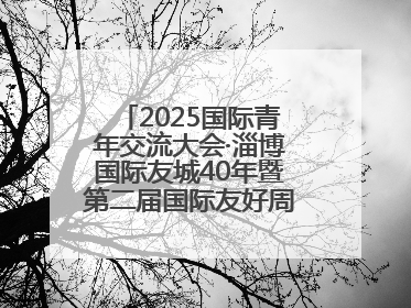 2025国际青年交流大会·淄博国际友城40年暨第二届国际友好周开幕式举行