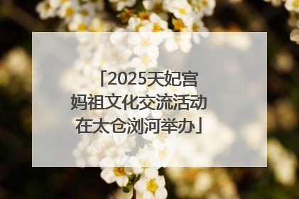2025天妃宫妈祖文化交流活动在太仓浏河举办