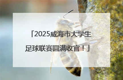 2025威海市大学生足球联赛圆满收官！