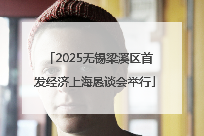 2025无锡梁溪区首发经济上海恳谈会举行