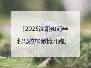 2025沈阳和河半程马拉松激情开跑