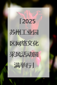 2025苏州工业园区网络文化采风活动圆满举行