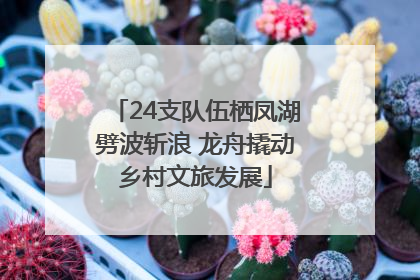 24支队伍栖凤湖劈波斩浪 龙舟撬动乡村文旅发展