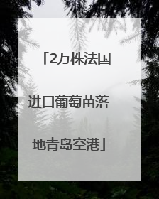 2万株法国进口葡萄苗落地青岛空港