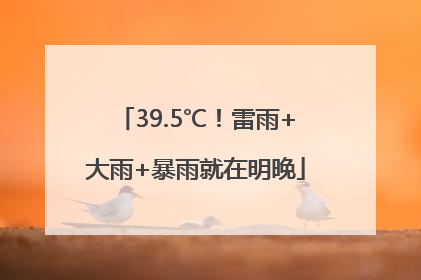 39.5℃！雷雨+大雨+暴雨就在明晚