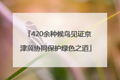 420余种候鸟见证京津冀协同保护绿色之道