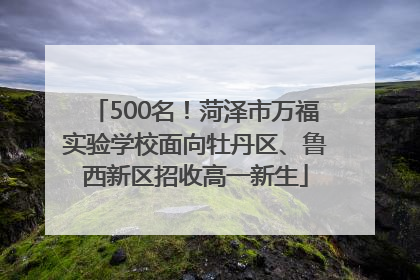 500名！菏泽市万福实验学校面向牡丹区、鲁西新区招收高一新生