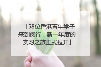 58位香港青年学子来到闵行，新一年度的实习之旅正式拉开
