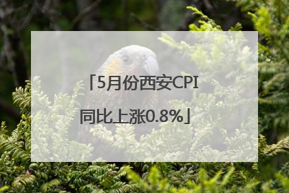 5月份西安CPI同比上涨0.8%