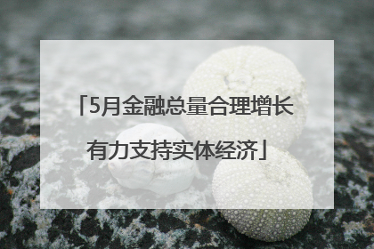 5月金融总量合理增长 有力支持实体经济