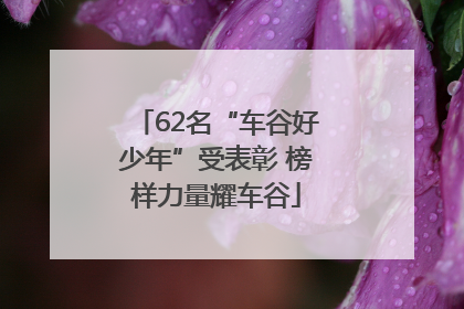 62名“车谷好少年”受表彰 榜样力量耀车谷