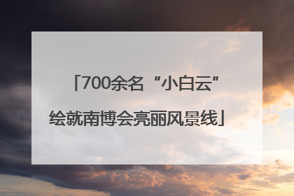 700余名“小白云”绘就南博会亮丽风景线