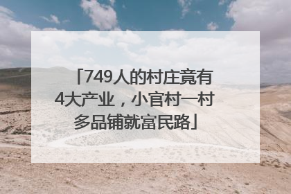 749人的村庄竟有4大产业，小官村一村多品铺就富民路