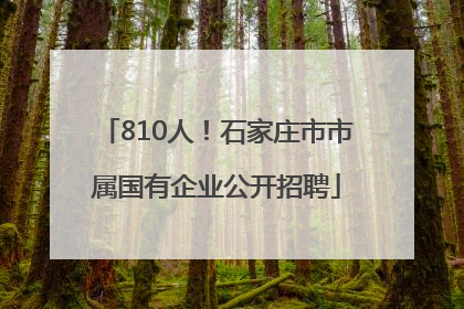 810人！石家庄市市属国有企业公开招聘