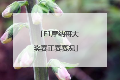 F1摩纳哥大奖赛正赛赛况