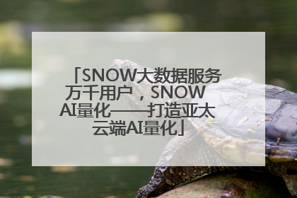 SNOW大数据服务万千用户，SNOW AI量化——打造亚太云端AI量化